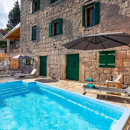 Villa Lazini Dvori Stasevica Exteriör bild