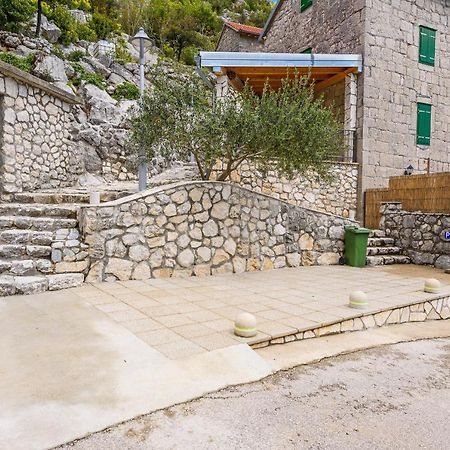 Villa Lazini Dvori Stasevica Exteriör bild