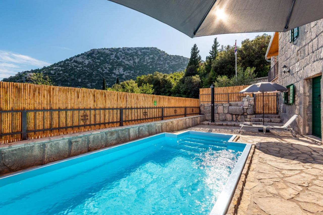 Villa Lazini Dvori Stasevica Exteriör bild