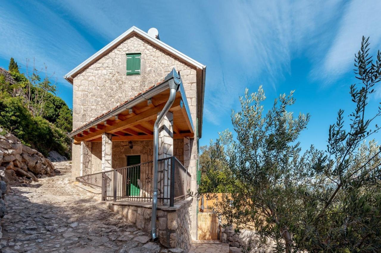 Villa Lazini Dvori Stasevica Exteriör bild