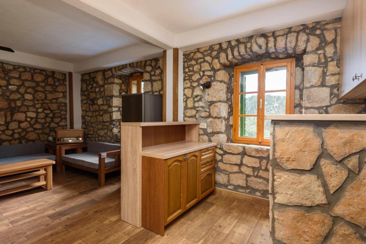 Villa Lazini Dvori Stasevica Exteriör bild