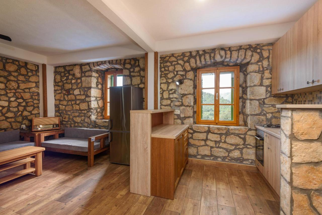 Villa Lazini Dvori Stasevica Exteriör bild